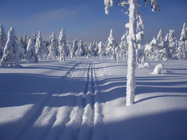 Vinterlandskap